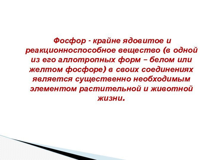  Фосфор - крайне ядовитое и реакционноспособное вещество (в одной из его