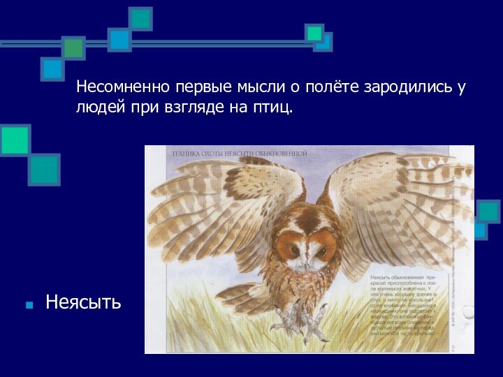 Несомненно первые мысли о полёте зародились у людей при взгляде на птиц.Неясыть