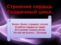 Строение сердца. Сердечный цикл