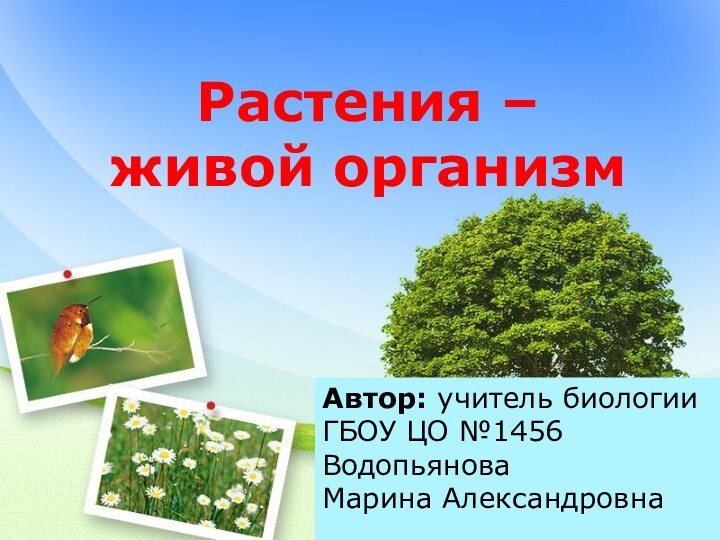 Растения – живой организмАвтор: учитель биологииГБОУ ЦО №1456 Водопьянова Марина Александровна