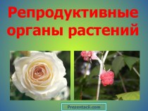 Репродуктивные органы растений