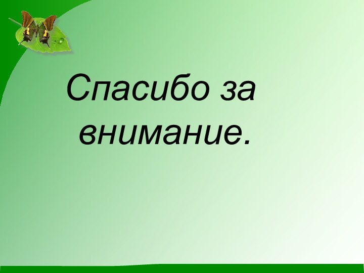 Спасибо за внимание.