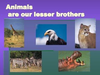 Animals are our lesser brothers