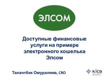 Доступные финансовые услуги на примереэлектронного кошелька Элсом