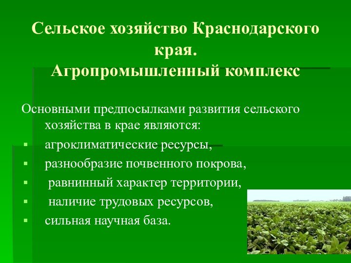 Сельское хозяйство Краснодарского края. Агропромышленный комплексОсновными предпосылками развития сельского хозяйства в крае