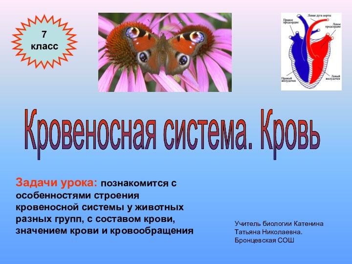 Кровеносная система. Кровь Задачи урока: познакомится с особенностями строения кровеносной системы у