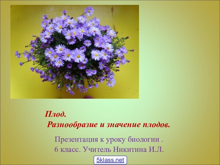 Плод.      Плод.  Разнообразие и значение плодов.