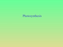 Photosynthesis