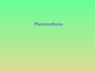 Photosynthesis