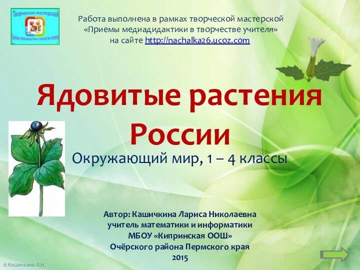 Ядовитые растения РоссииОкружающий мир, 1 – 4 классыАвтор: Кашичкина Лариса Николаевнаучитель математики