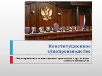 Конституционное судопроизводство