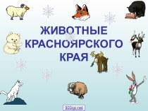 Животные Красноярского края