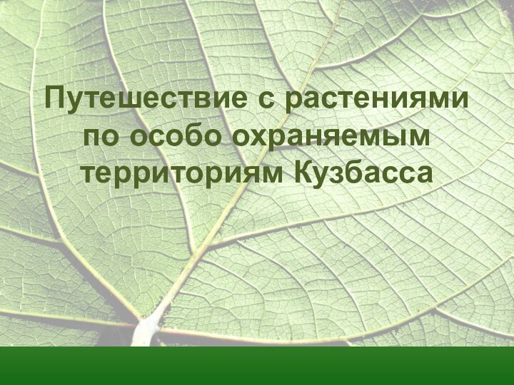 Путешествие с растениями по особо охраняемым территориям Кузбасса