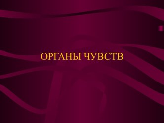 Органы восприятия человека