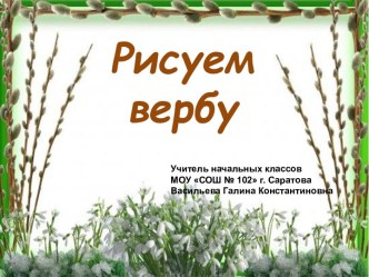 Рисуем вербу