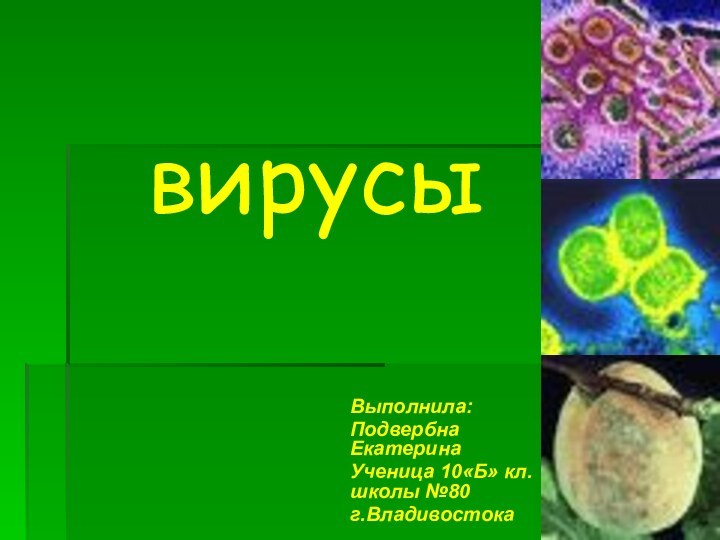 вирусыВыполнила:Подвербна ЕкатеринаУченица 10«Б» кл. школы №80г.Владивостока