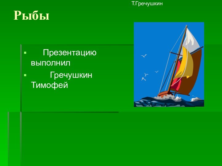 Рыбы   Презентацию выполнил     Гречушкин ТимофейТ.Гречушкин