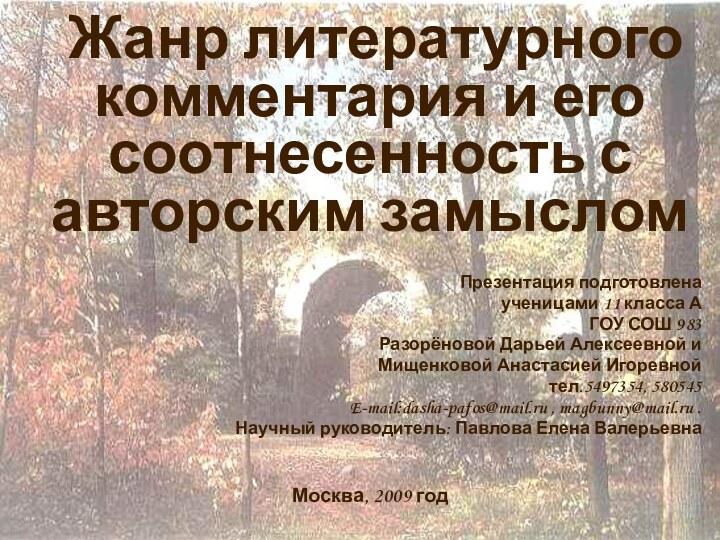 Жанр литературного комментария и его соотнесенность с авторским замыслом