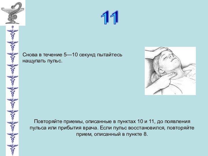 11 Снова в течение 5—10 секунд пытайтесь нащупать пульс.Повторяйте приемы, описанные в