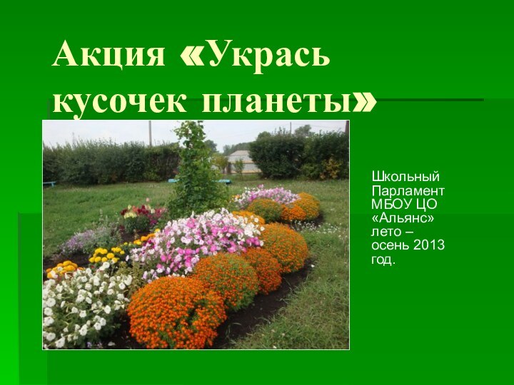 Акция «Укрась кусочек планеты»Школьный Парламент МБОУ ЦО «Альянс» лето – осень 2013 год.