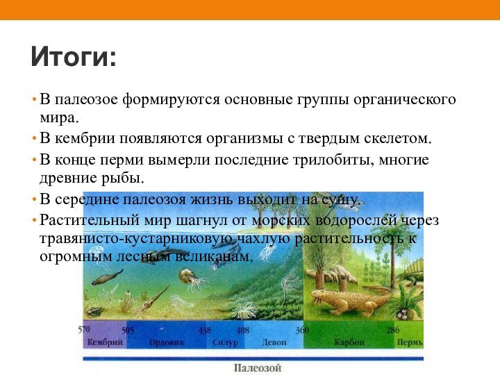 Итоги:В палеозое формируются основные группы органического мира. В кембрии появляются организмы с