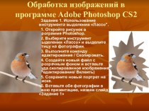 Обработка изображений в программе Adobe Photoshop CS2