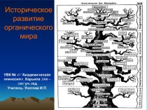 Историческое развитие органического мира