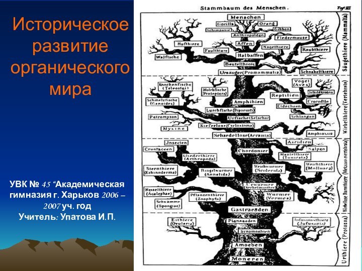 Историческое развитие органического мира  УВК № 45 “Академическая гимназия г. Харьков