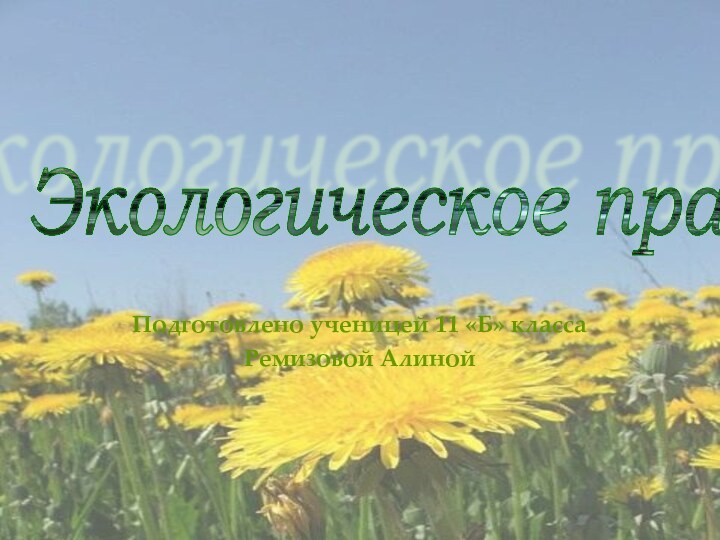 Подготовлено ученицей 11 «Б» классаРемизовой АлинойЭкологическое право