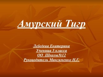 амурсий тигр