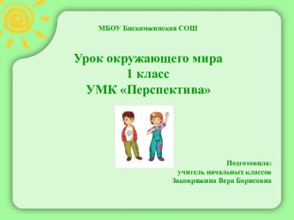 Конспект урока окружающего мира в 1 классе Россия – наша Родина