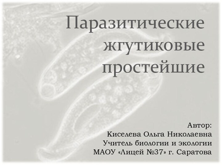 Паразитические жгутиковые простейшиеАвтор: Киселева Ольга НиколаевнаУчитель биологии и экологииМАОУ «Лицей №37» г. Саратова