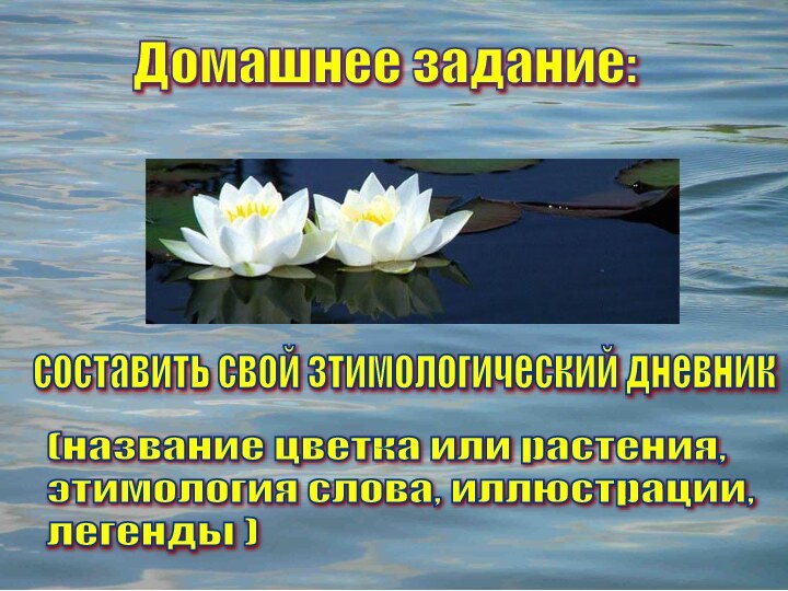 Домашнее задание:составить свой зтимологический дневник(название цветка или растения,  этимология слова, иллюстрации,  легенды )