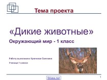 Дикие животные 1 класс