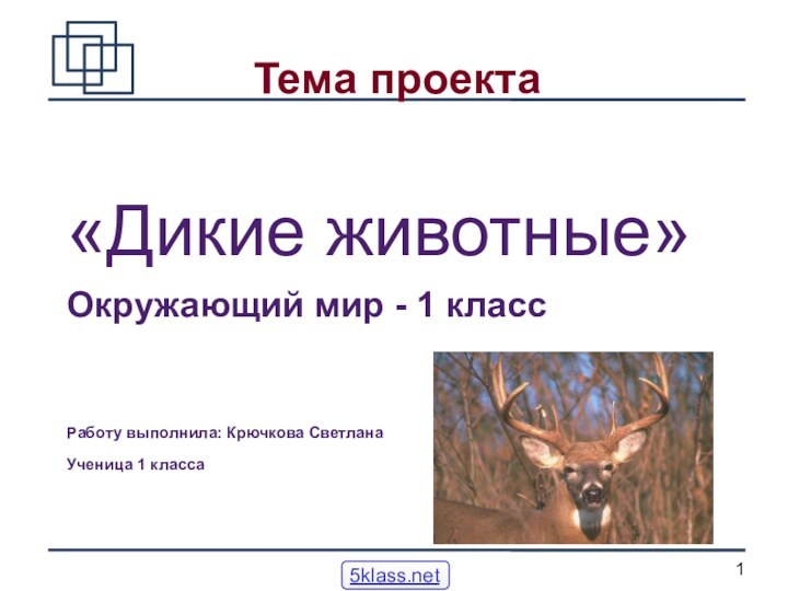 Тема проекта«Дикие животные»Окружающий мир - 1 классРаботу выполнила: Крючкова СветланаУченица 1 класса