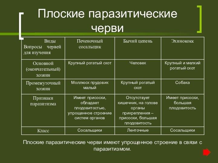 Плоские паразитические червиПлоские паразитические черви имеют упрощенное строение в связи с паразитизмом.