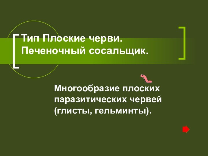 Тип Плоские черви. Печеночный сосальщик.  Многообразие плоских паразитических червей (глисты, гельминты).