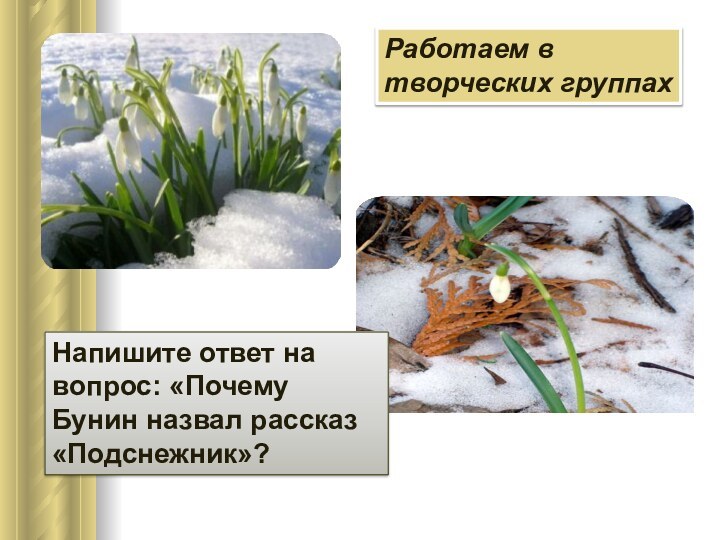 Работаем в творческих группахНапишите ответ на вопрос: «Почему Бунин назвал рассказ «Подснежник»?