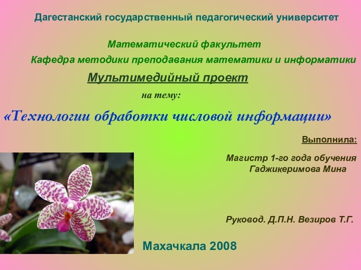 «Технологии обработки числовой информации»Дагестанский государственный педагогический университетМатематический факультетКафедра методики преподавания математики и