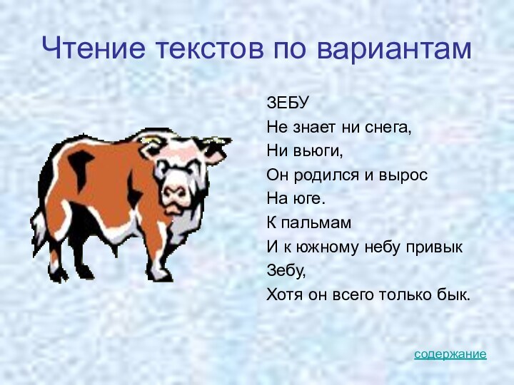 Чтение текстов по вариантамЗЕБУНе знает ни снега, Ни вьюги,Он родился и вырос