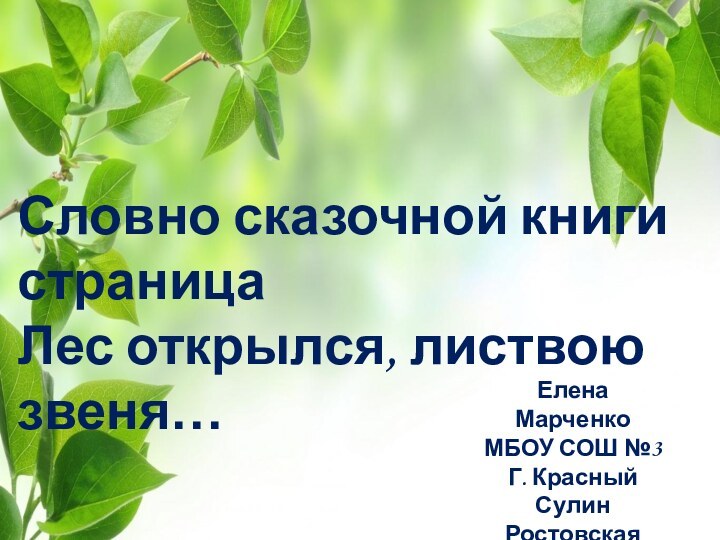 Словно сказочной книги страницаЛес открылся, листвою звеня…Елена МарченкоМБОУ СОШ №3Г. Красный СулинРостовская обл.