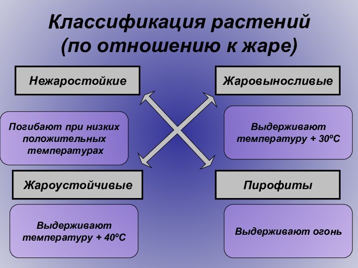 Классификация растений  (по отношению к жаре)Нежаростойкие Жаровыносливые Жароустойчивые Пирофиты Погибают при