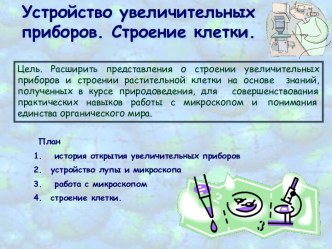 Устройство увеличительных приборов. Строение клетки