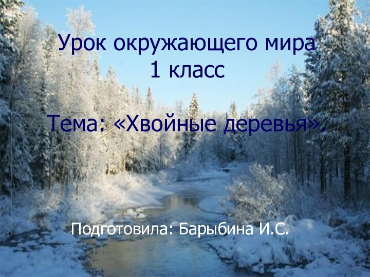 Урок окружающего мира  1 класс  Тема: «Хвойные деревья».Подготовила: Барыбина И.С.