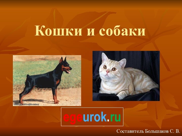 Кошки и собакиСоставитель Большаков С. В.egeurok.ru