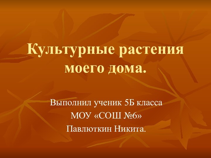 Культурные растения моего дома.Выполнил ученик 5Б классаМОУ «СОШ №6»Павлюткин Никита.