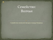 Семейство: Волчьи