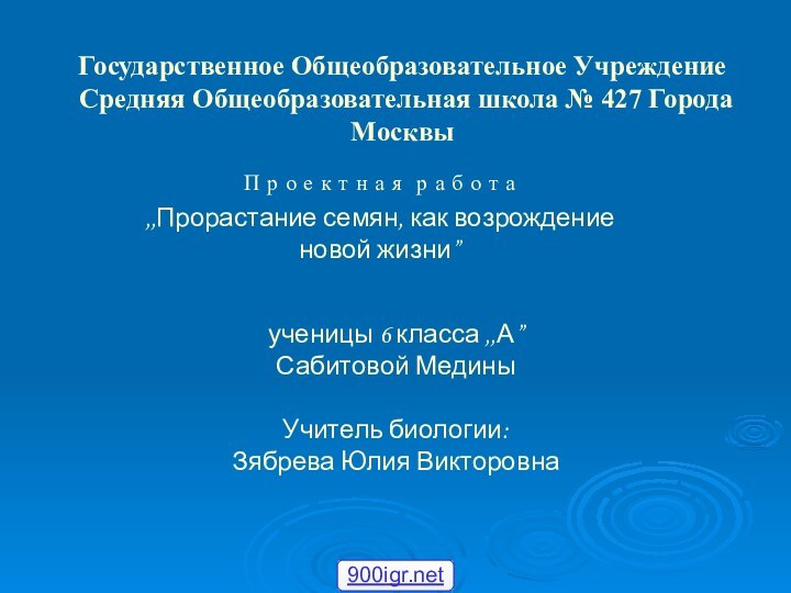 Государственное Общеобразовательное Учреждение  Средняя Общеобразовательная школа № 427 Города МосквыП р