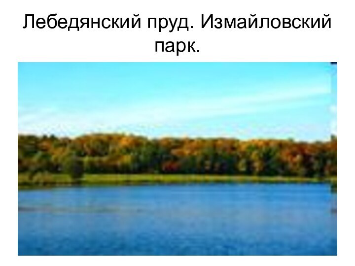 Лебедянский пруд. Измайловский парк.