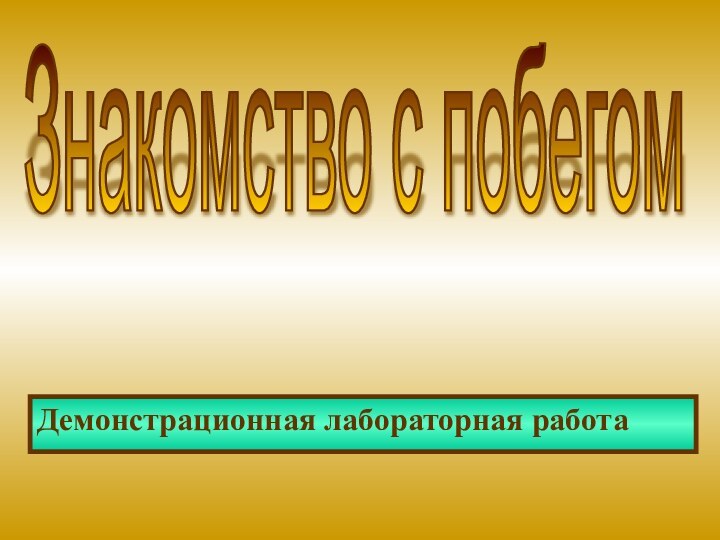 Демонстрационная лабораторная работаЗнакомство с побегом